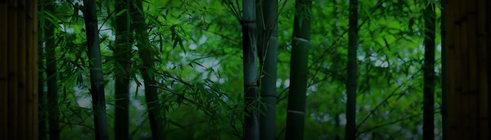 header_inside_bg