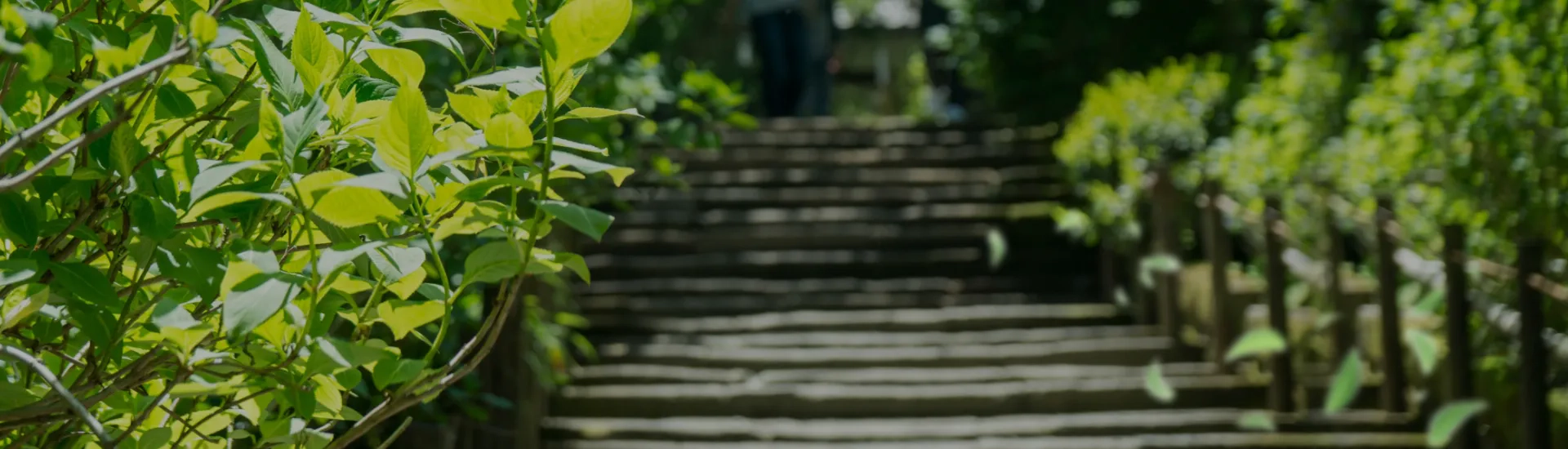 support_header_bg